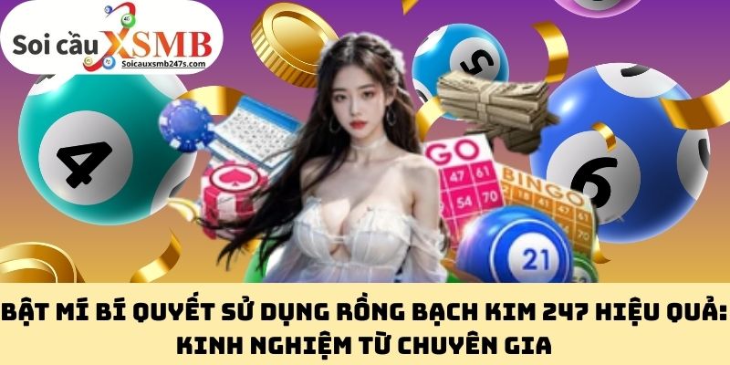 Bật Mí Bí Quyết Sử Dụng Rồng Bạch Kim 247 Hiệu Quả: Kinh Nghiệm Từ Chuyên Gia