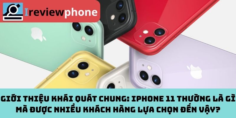 Giới thiệu khái quát chung: iPhone 11 thường là gì mà được nhiều khách hàng lựa chọn đến vậy?
